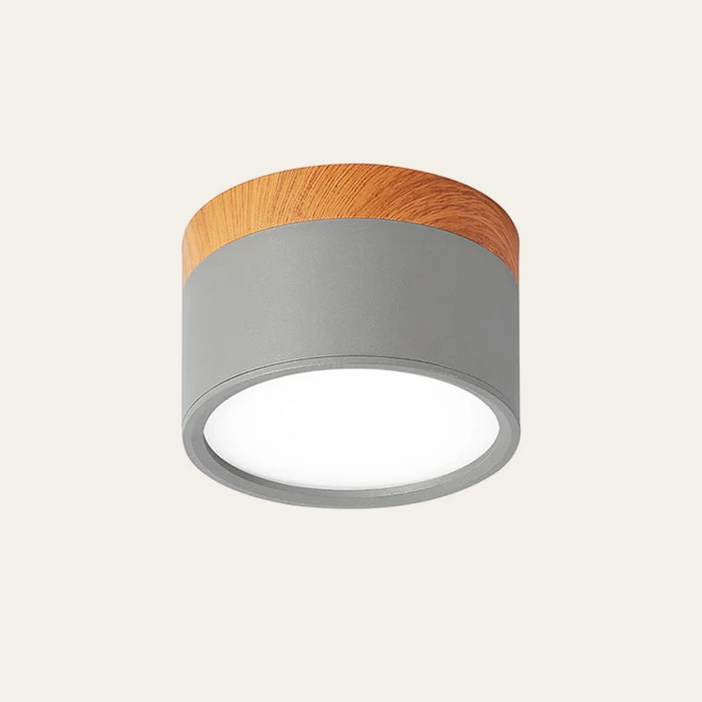Lille Cylindrisk LED Loftlys Til Overflademontering Med Kompakt Design