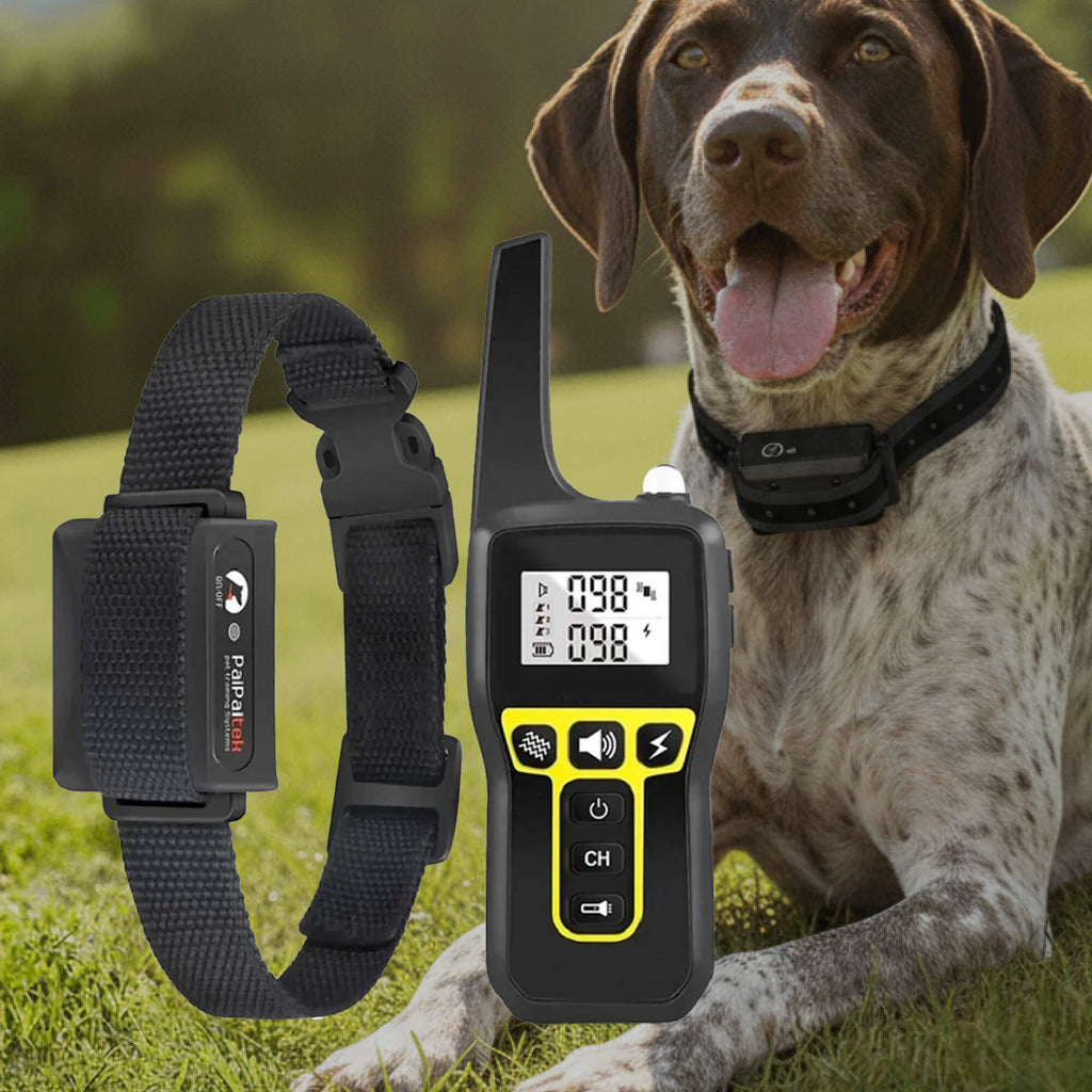 Elektronisk Hundetraeningskrave Med Lang Rækkevidde Og Daglig Adfærdsstøtte