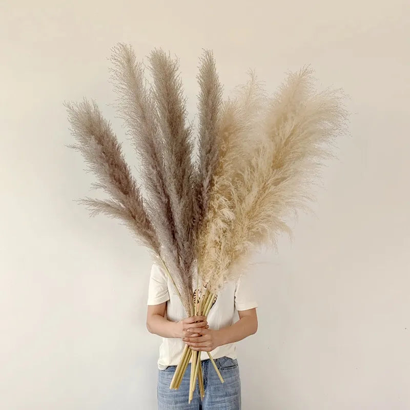 Tørret Pampasgræs med Naturligt Udtryk og Boho‑Inspireret Stil