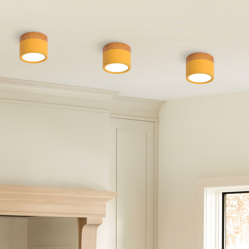 Lille Cylindrisk LED Loftlys Til Overflademontering Med Kompakt Design