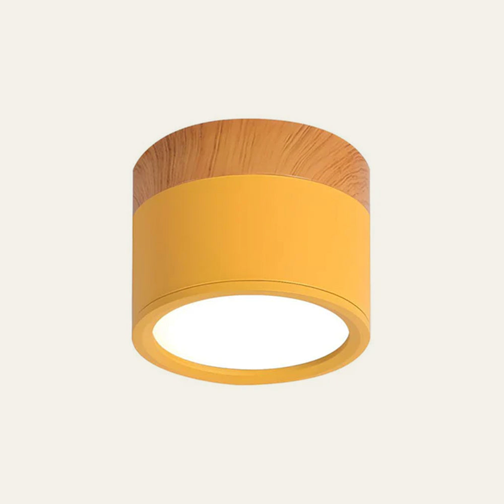Lille Cylindrisk LED Loftlys Til Overflademontering Med Kompakt Design