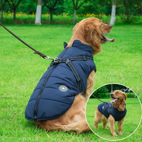 Varm 3-i-1 Hundejakke med Integreret Sele