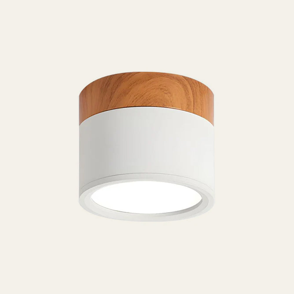 Lille Cylindrisk LED Loftlys Til Overflademontering Med Kompakt Design