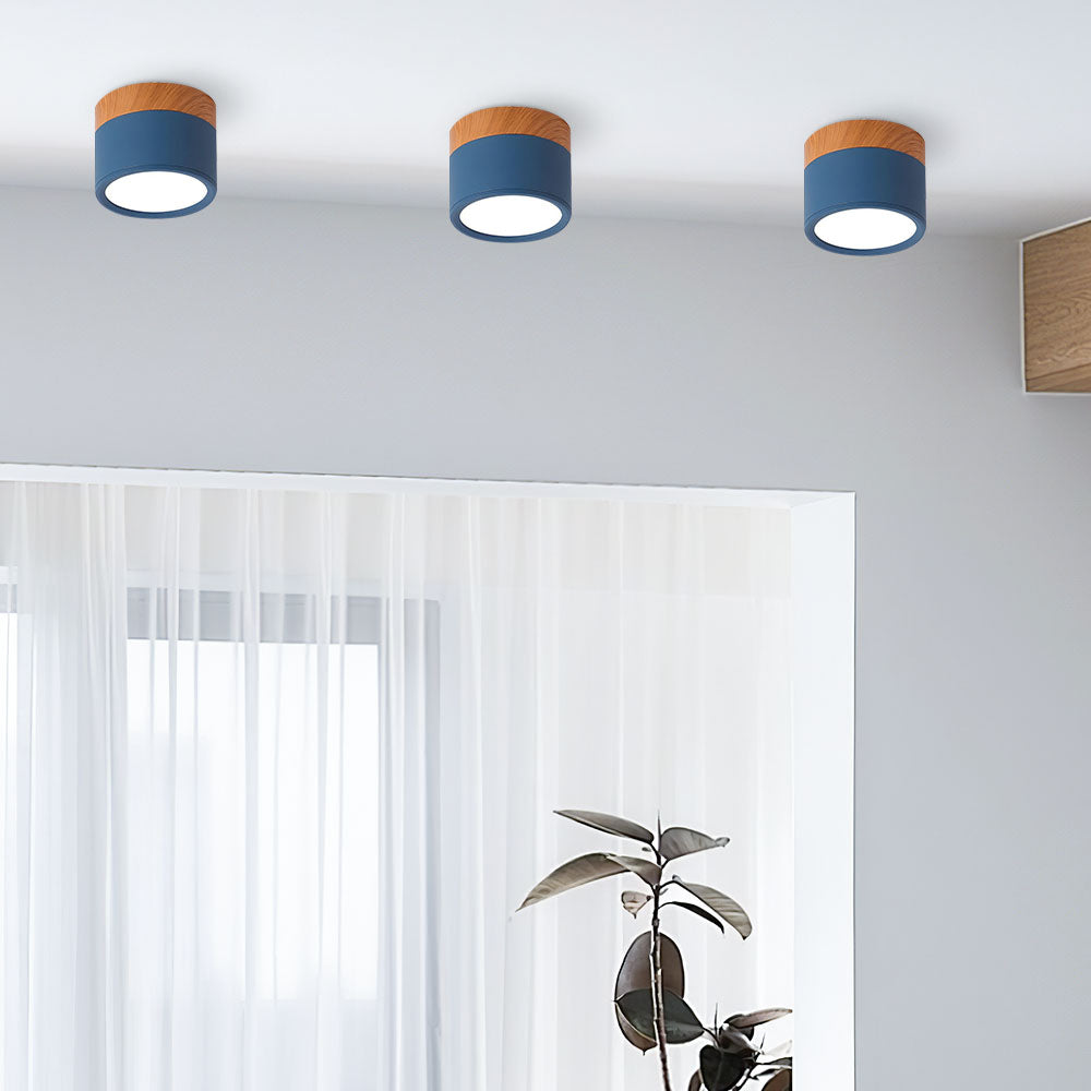 Lille Cylindrisk LED Loftlys Til Overflademontering Med Kompakt Design