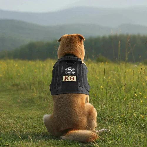 Taktisk Hundesele med No-Pull Funktion og Justerbar Pasform