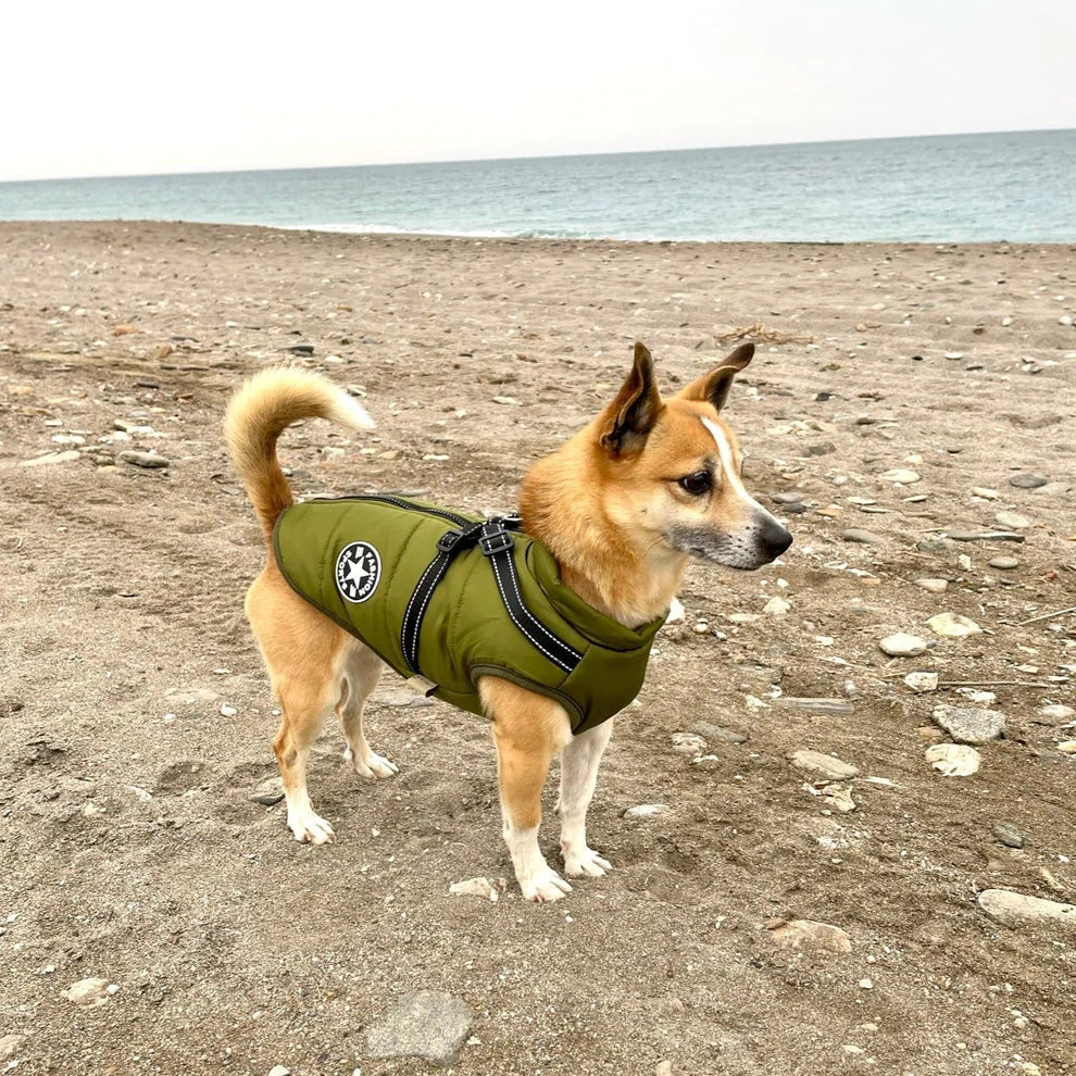 Varm 3-i-1 Hundejakke med Integreret Sele
