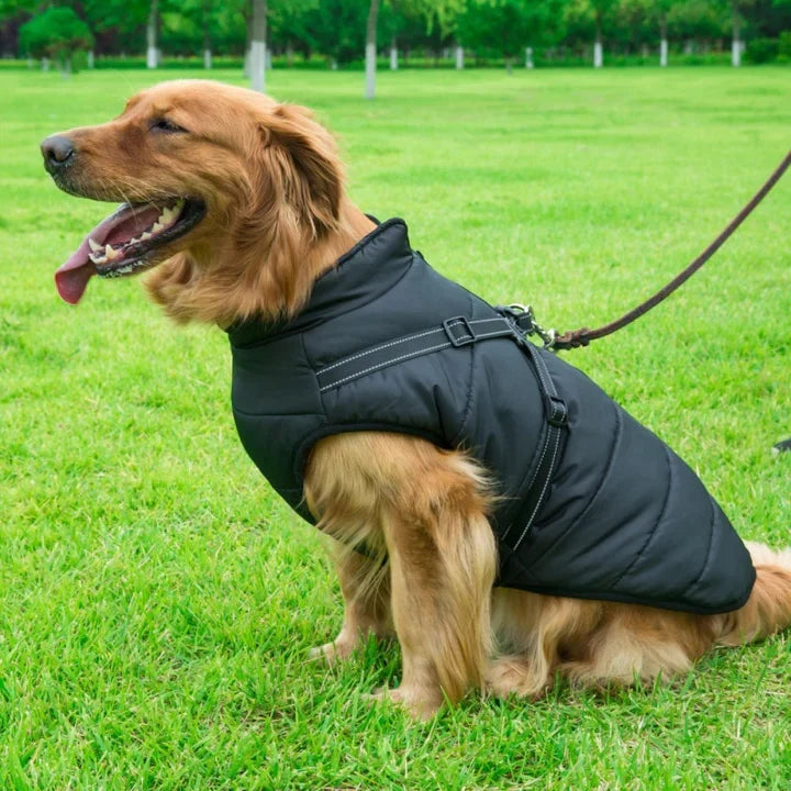 Varm 3-i-1 Hundejakke med Integreret Sele