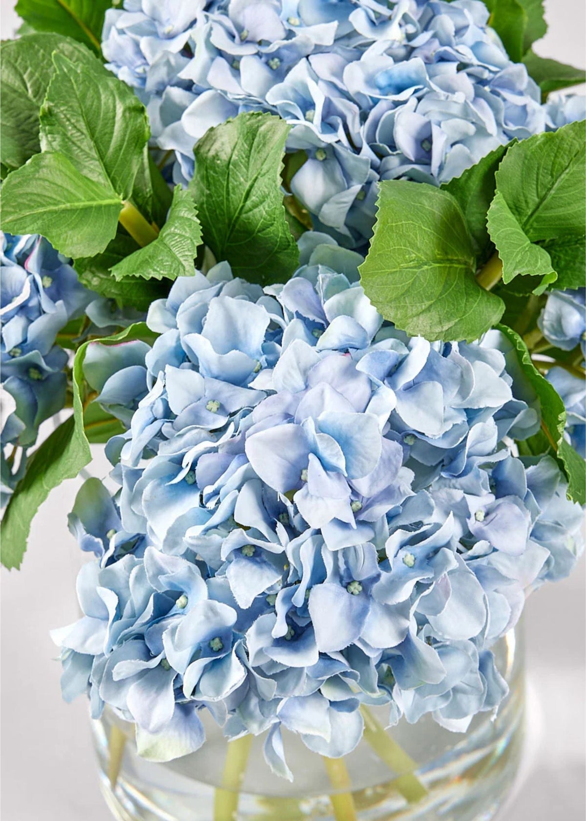 Kunsthortensier Der Giver Fyldig Romantisk Blomstring Hele Året Uden Vedligeholdelse