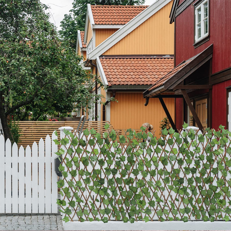 Udtrækkelig Efeuhegn Med Piletræsramme For Privatliv Og Naturlook