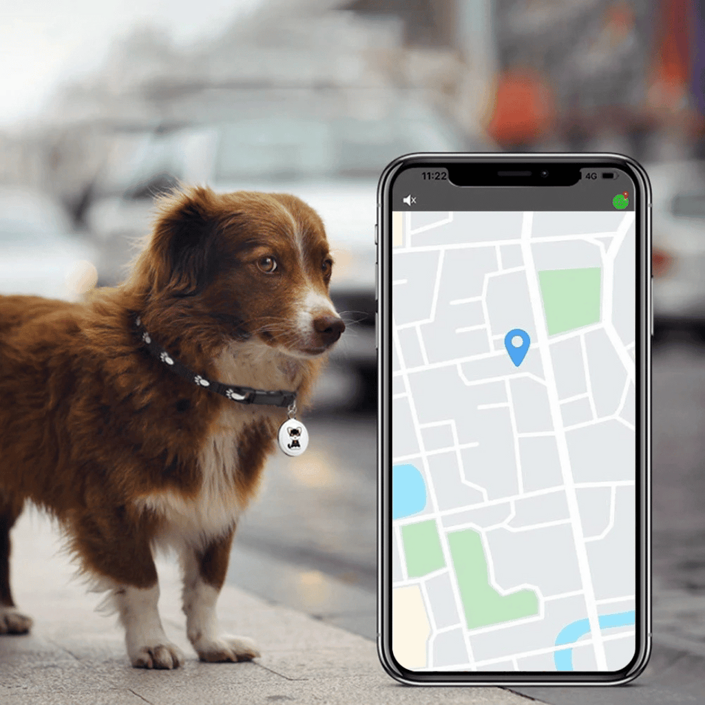 Kaeledyrstracker Med Bluetooth Og Live Positionsvisning