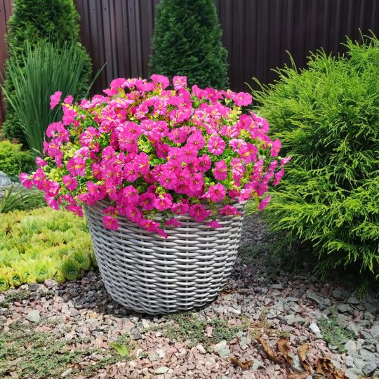 Kunstblomst med Naturtro Udtryk og UV‑bestandig Langtidsholdbarhed