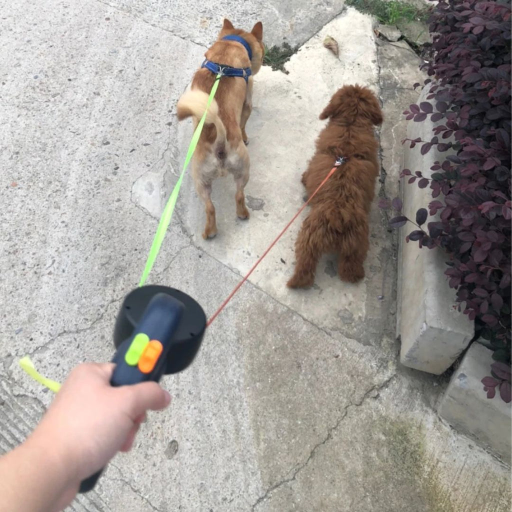 Dobbelt Udtrækkelig Hundesnor med Anti-Snoning