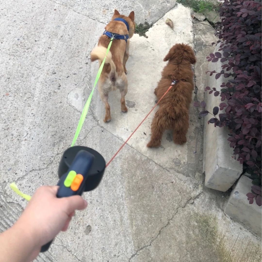 Dobbelt Udtrækkelig Hundesnor med Anti-Snoning