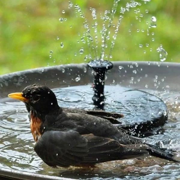 Solcelledrevet Springvand Til Havedam Med Flydende Design