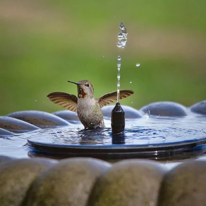 Solcelledrevet Springvand Til Havedam Med Flydende Design