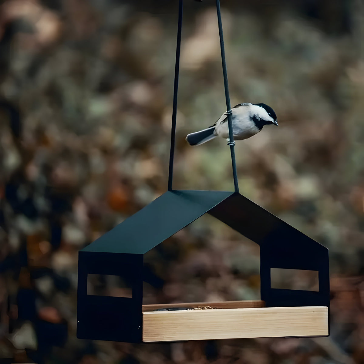 Hængende Fuglehus Til Små Havefugle Med Naturligt Design