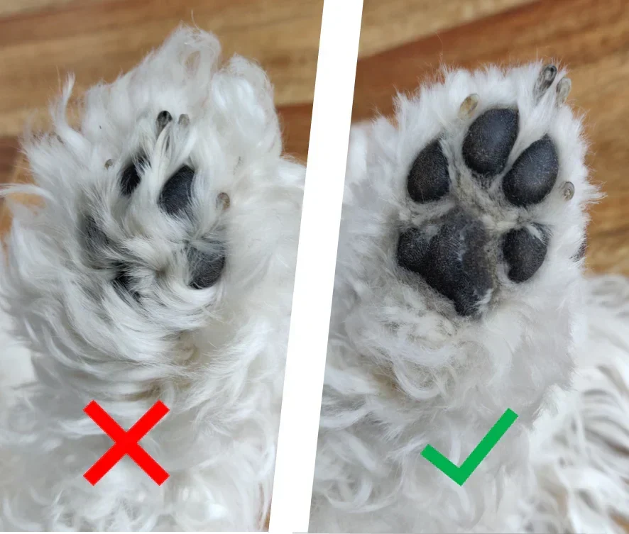 Trådløs Kæledyrstrimmer med LED-Lys til Hunde og Katte